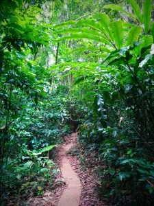 IMG_20150707_130841~2